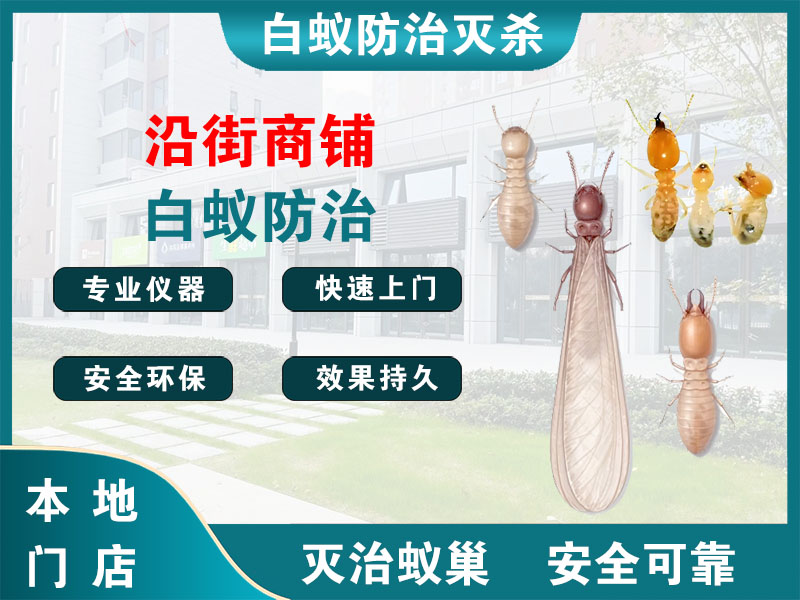 吴兴沿街商铺白蚁防治