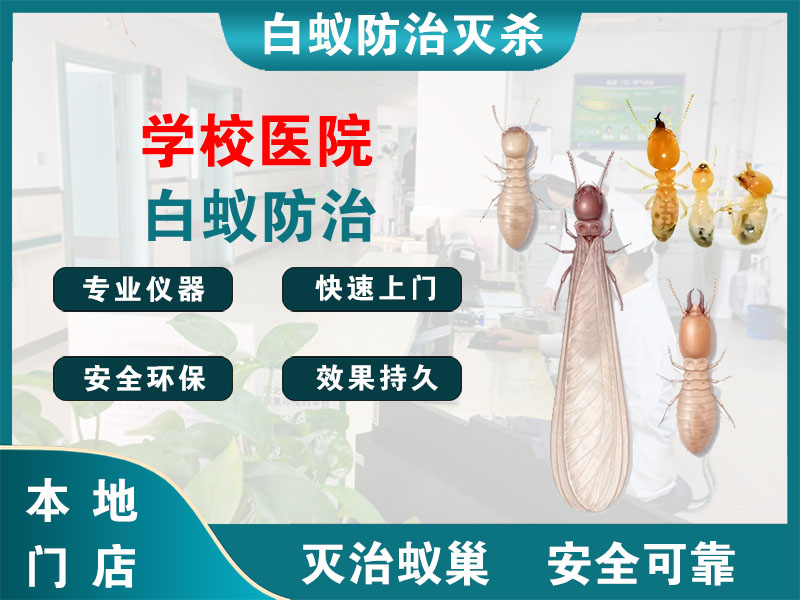 吴兴学校医院白蚁防治