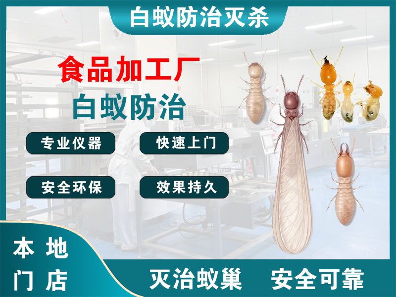 吴兴食品加工厂白蚁防治