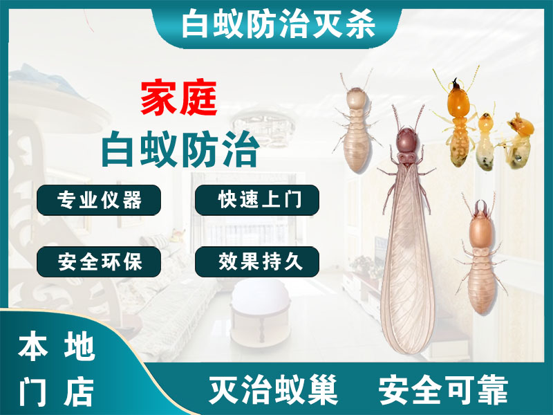 吴兴家庭白蚁防治