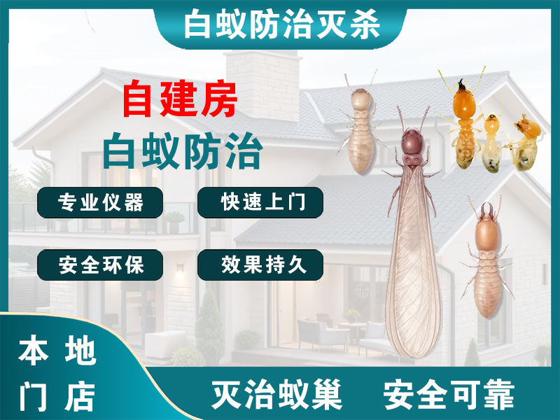 吴兴自建房白蚁防治