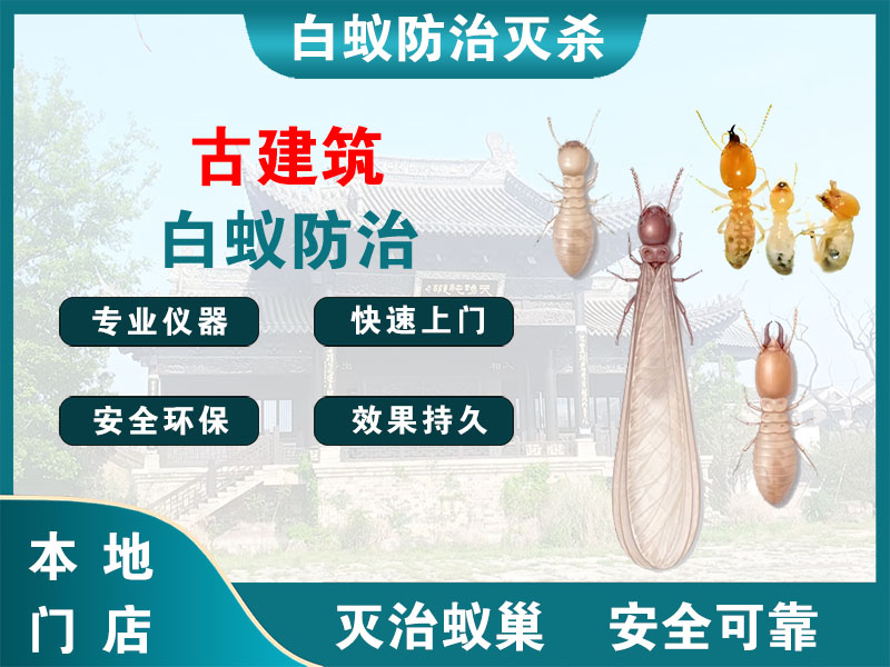 吴兴古建筑白蚁防治