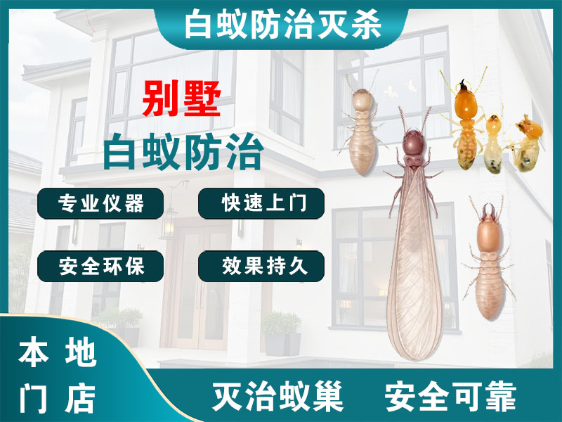 吴兴别墅白蚁防治