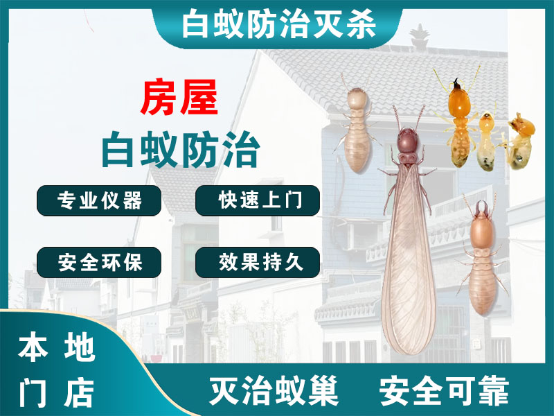 吴兴房屋白蚁防治